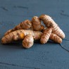 Ekologiškos ciberžolės (turmeric) šaknys