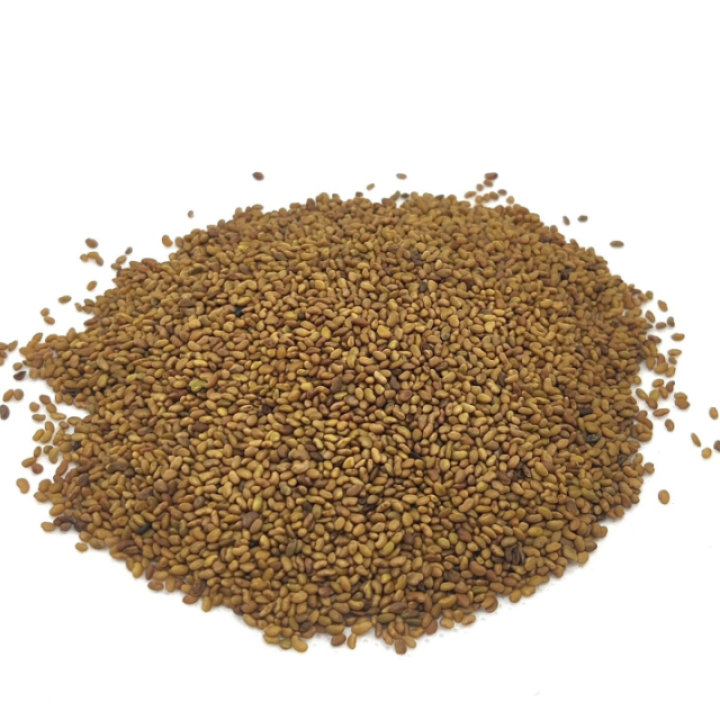 Органические семена люцерны (Alfalfa), ДЛЯ ПРОРАЩИВАНИЯ