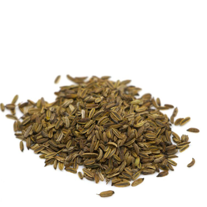 Organic Fennel Seeds, FOR SPROUTING