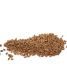 Organic Wheat Seeds, FOR SPROUTING