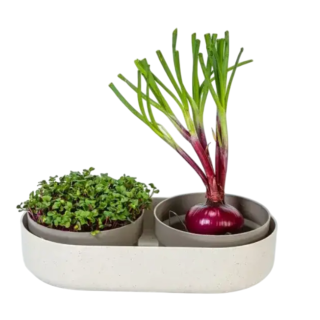 Double microgreens tray