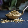 Ekologiškos pankolių sėklos (Fennel seed)