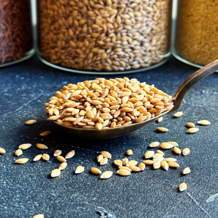 Organic Einkorn wheat grains