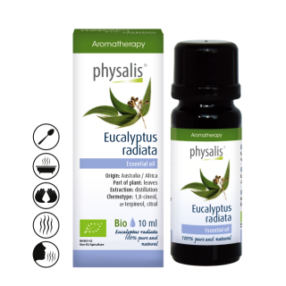 Ekologiškas spindulinių eukaliptų eterinis aliejus, 10 ml