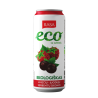 Ekologiškas aviečių ir juodųjų serbentų skonio gazuotas gaivusis gėrimas  su sultimis, 0.5l RASA ECO