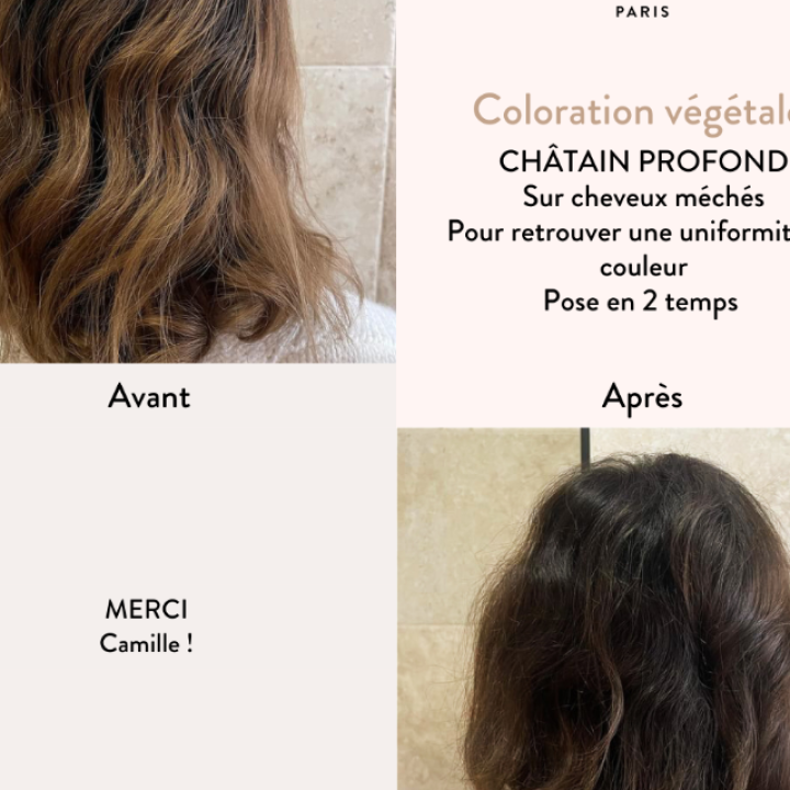 Органическая краска для волос Chesnut Brown
