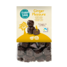 Ekologiški imbiero gabaliukai šokolade Ginger Pleasure, 150 g, TERRASANA
