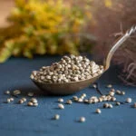 Ekologiškos kanapių sėklos RAW