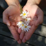 Žaliuomenės dovanų kuponas