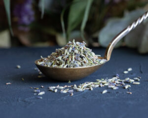 Organic lavender flowers