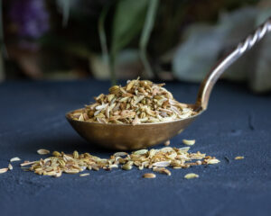 Ekologiškos pankolių sėklos (Fennel seed)