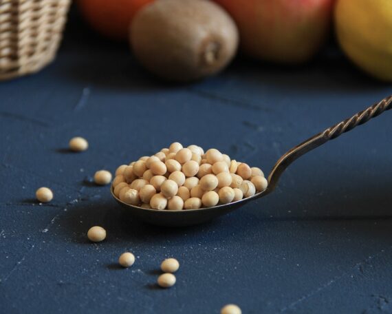 Organic soya beans, GMO-free