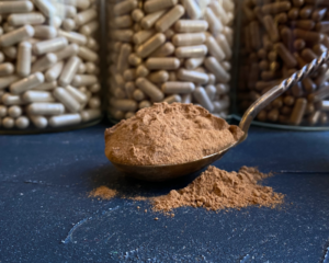 Organic Chinese Cordyceps powder