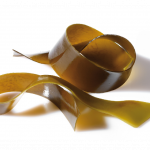 Ekologiškos džiovintos jūros daržovės KOMBU (dribsniai)