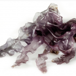 Ekologiškos džiovintos jūros daržovės NORI (dribsniai)