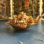 Ekologiški avinžirnių makaronai  FUSILLI su jūros dumbliais Nori