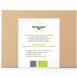 Подарочный набор "Органическая гармония меда и орехов"