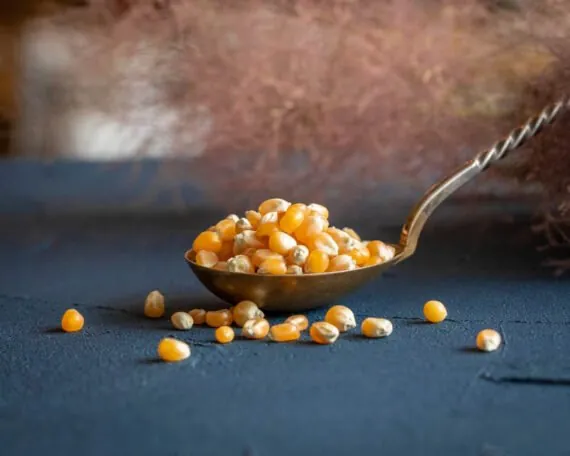 Ekologiški kukurūzai spragėsiams (Popcorn)