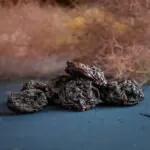 Organic pitted plums (dried)