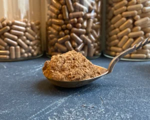 Organic Reishi mushroom powder