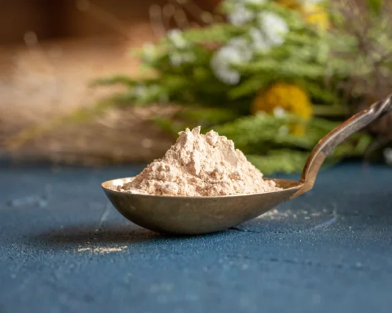 Organic Oyster mushroom powder (Pleurotus ostreatus) - Image 1